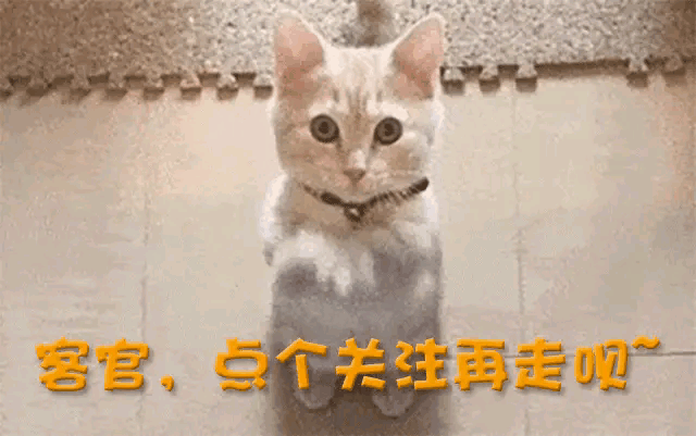 有人长出老年斑有人家破人亡毁了脸qy千亿国际6位过气明星现状：(图15)