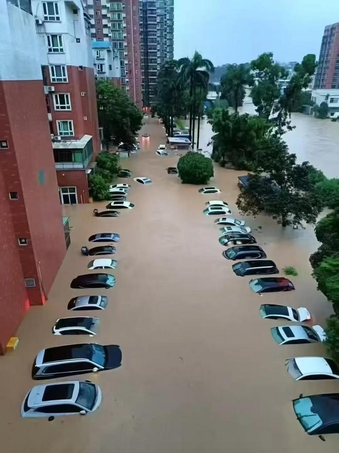 源车企提个醒防水脱困大有可为广东暴雨催生大量泡水车给新能(图5)