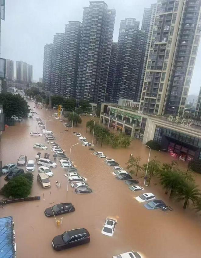 源车企提个醒防水脱困大有可为广东暴雨催生大量泡水车给新能(图10)