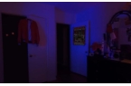 宫ar特快专递玩具熊的五夜后